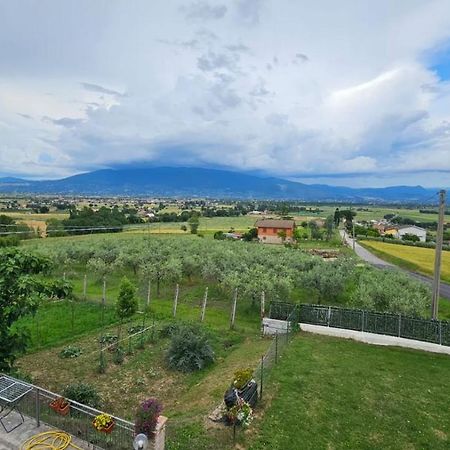 Delizioso Appartamento Collinare Limigiano Eksteriør bilde