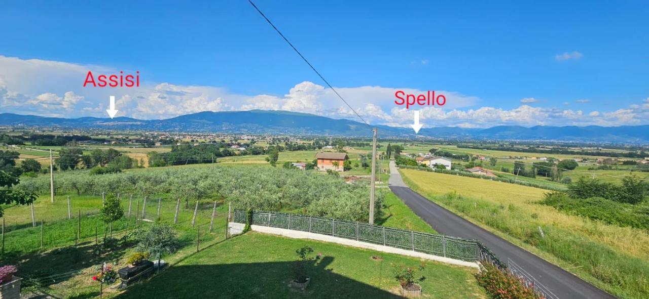 Delizioso Appartamento Collinare Limigiano Eksteriør bilde
