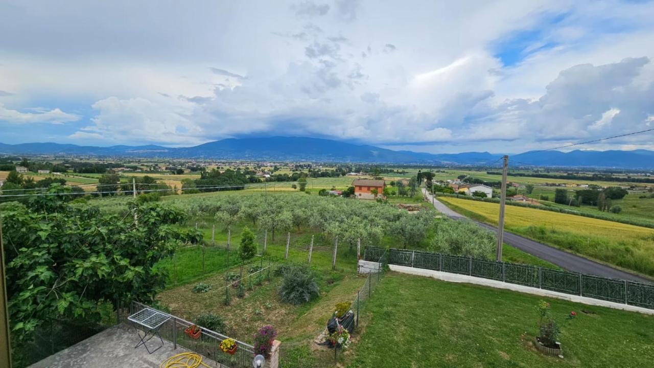 Delizioso Appartamento Collinare Limigiano Eksteriør bilde